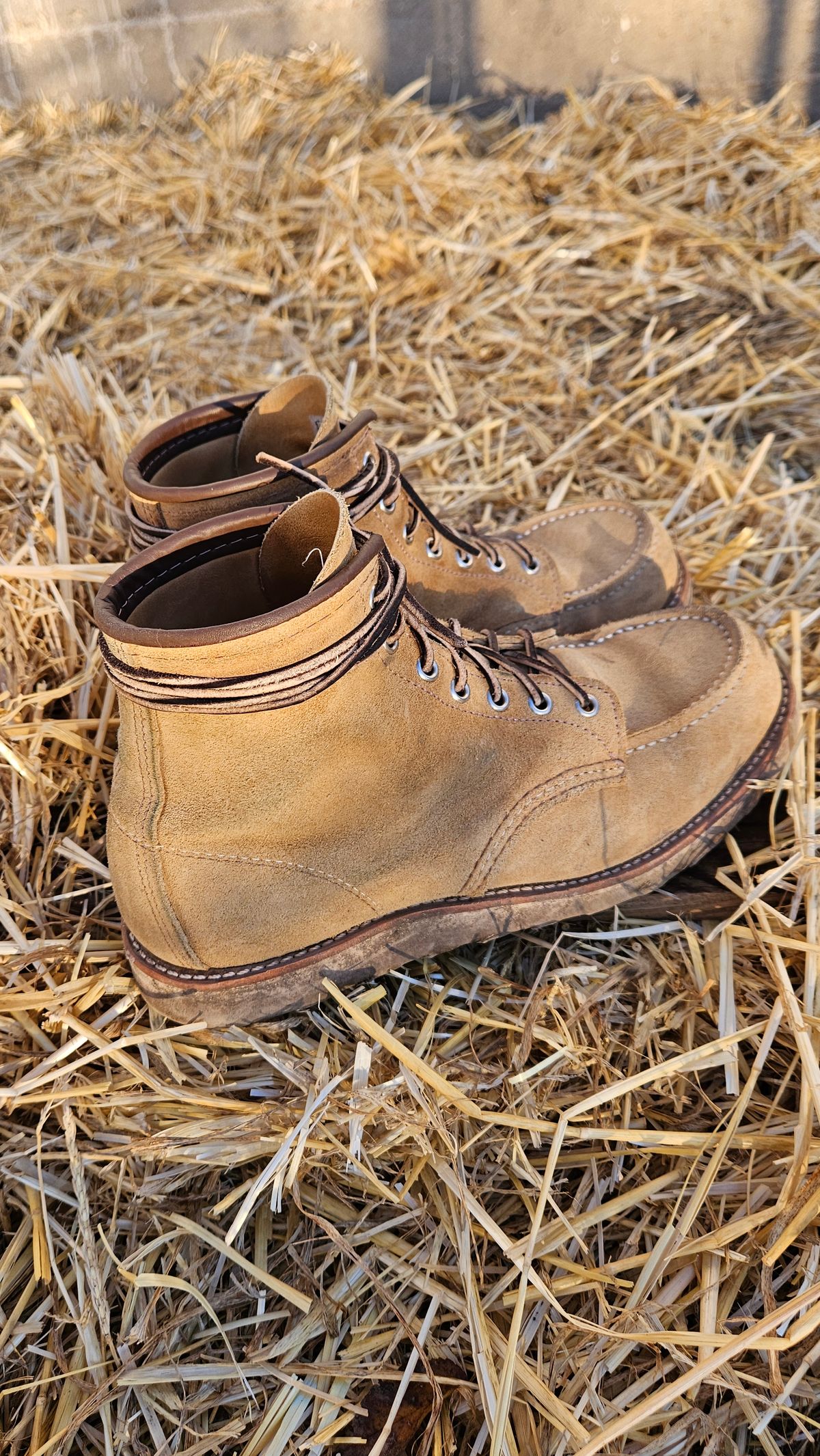Photo by bro_moc on December 2, 2023 of the Red Wing 6-Inch Classic Moc in S.B. Foot Hawthorne Abilene.