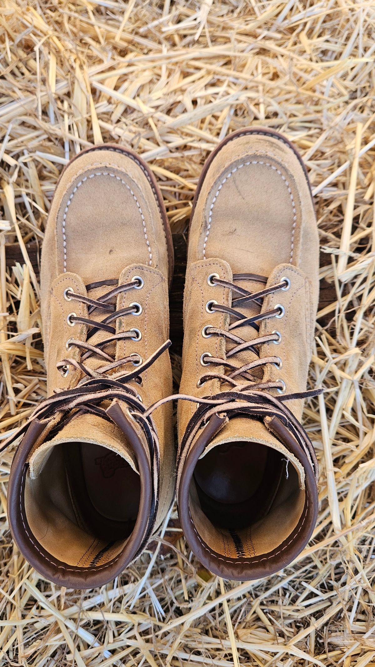 Photo by bro_moc on December 2, 2023 of the Red Wing 6-Inch Classic Moc in S.B. Foot Hawthorne Abilene.