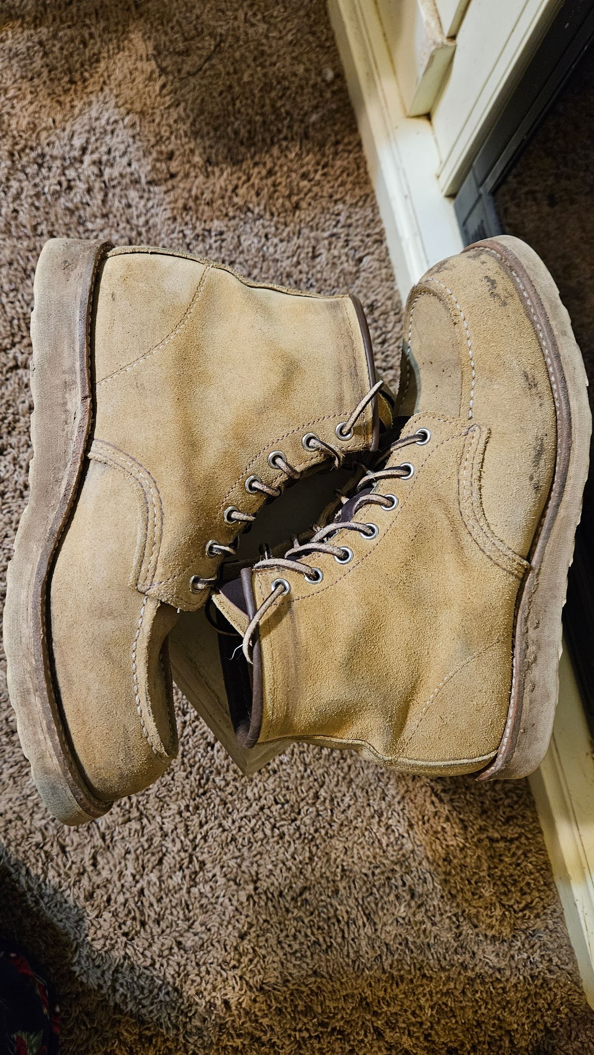 Photo by bro_moc on January 5, 2024 of the Red Wing 6-Inch Classic Moc in S.B. Foot Hawthorne Abilene.