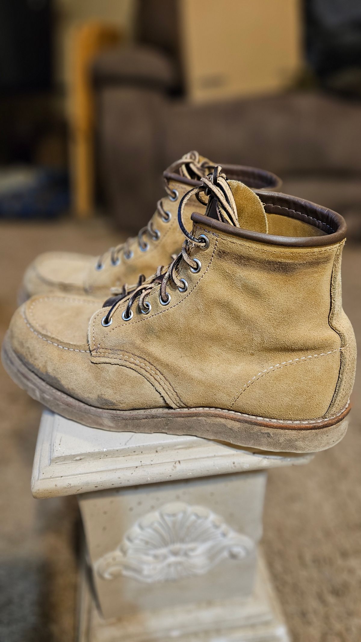 Photo by bro_moc on February 6, 2024 of the Red Wing 6-Inch Classic Moc in S.B. Foot Hawthorne Abilene.