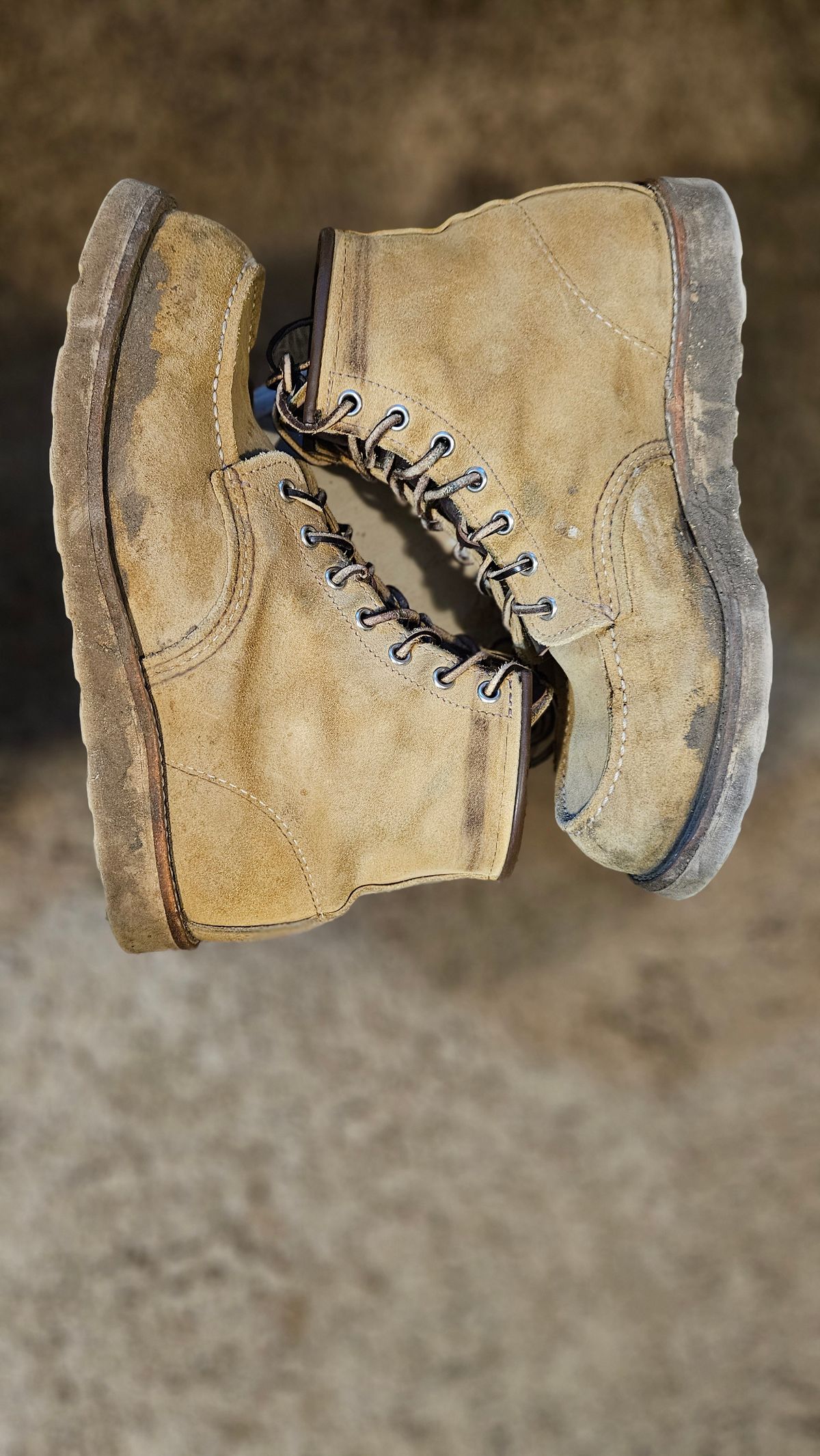 Photo by bro_moc on February 6, 2024 of the Red Wing 6-Inch Classic Moc in S.B. Foot Hawthorne Abilene.