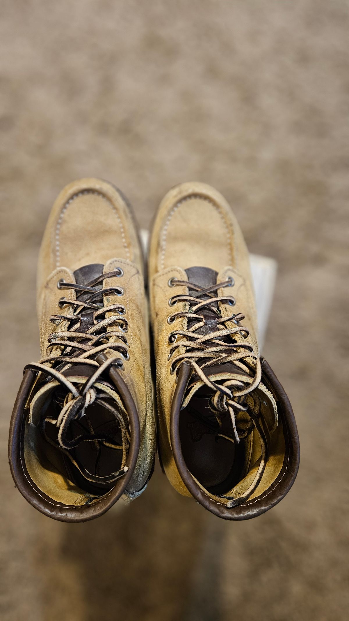 Photo by bro_moc on February 6, 2024 of the Red Wing 6-Inch Classic Moc in S.B. Foot Hawthorne Abilene.