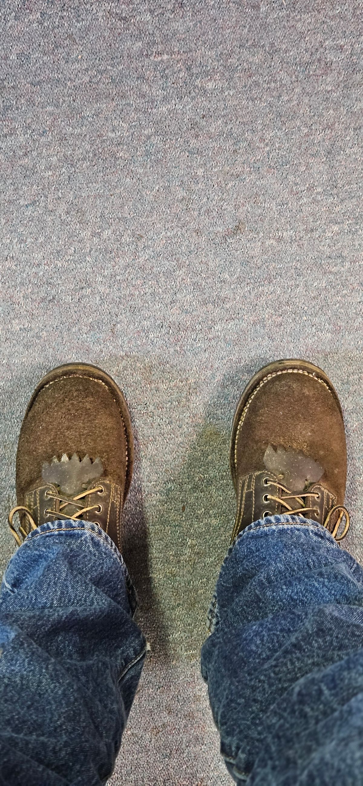 Photo by bro_moc on May 1, 2024 of the Drew's Boots in Brown Roughout.