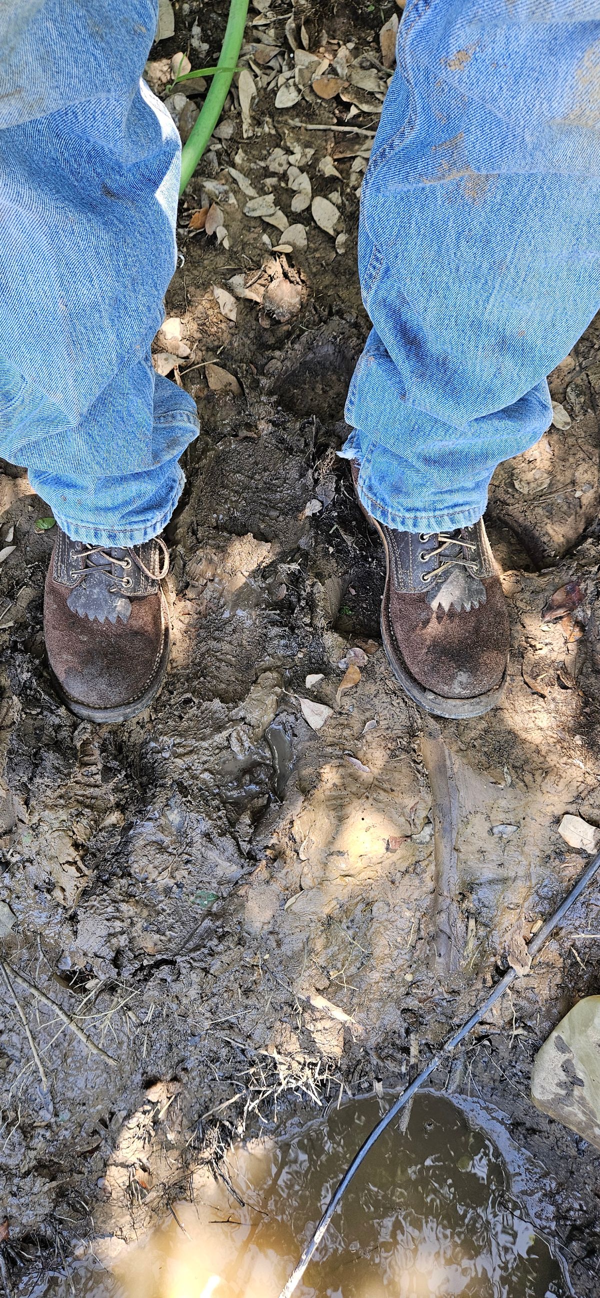 Photo by bro_moc on May 10, 2024 of the Drew's Boots in Brown Roughout.