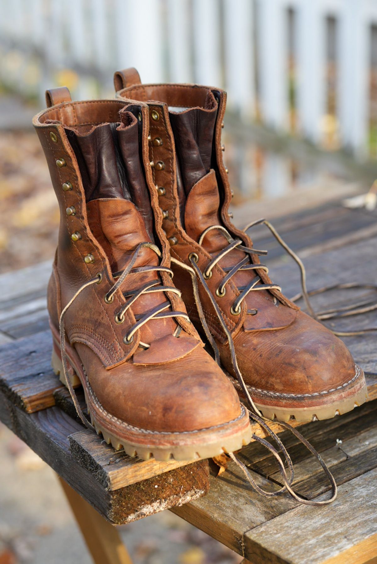 Photo by QuietRabbit on November 2, 2024 of the Nicks Lace Up Heritage in 64 MONARCH.