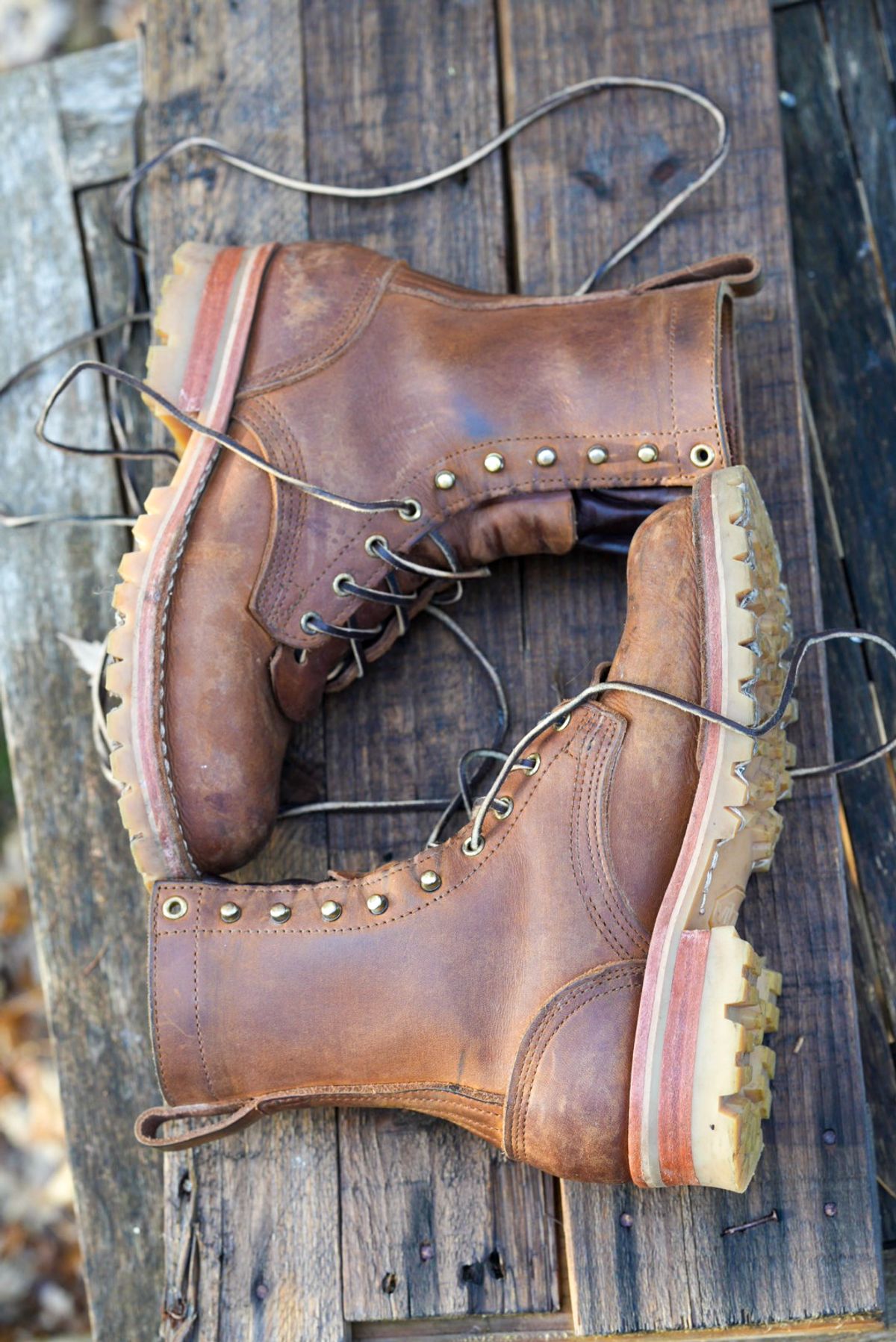 Photo by QuietRabbit on November 2, 2024 of the Nicks Lace Up Heritage in 64 MONARCH.