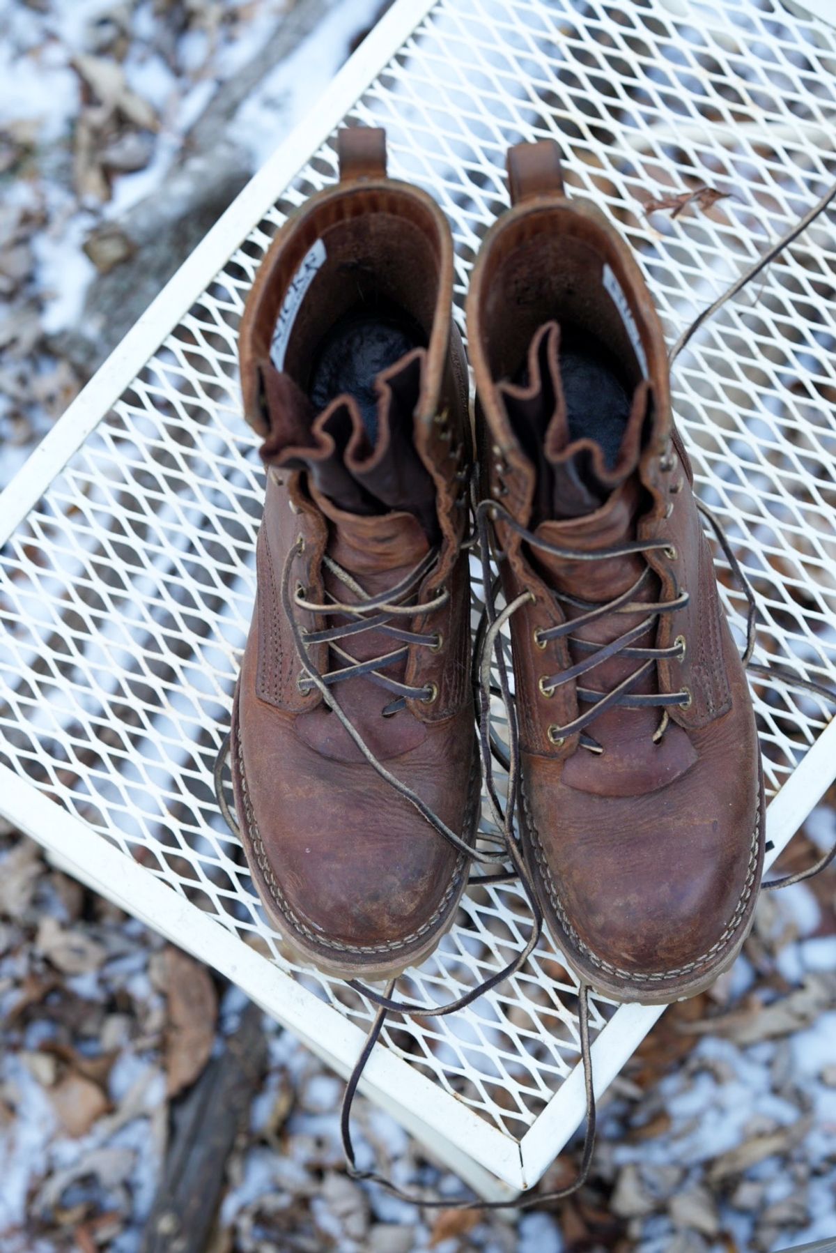 Photo by QuietRabbit on December 4, 2024 of the Nicks Lace Up Heritage in 64 MONARCH.