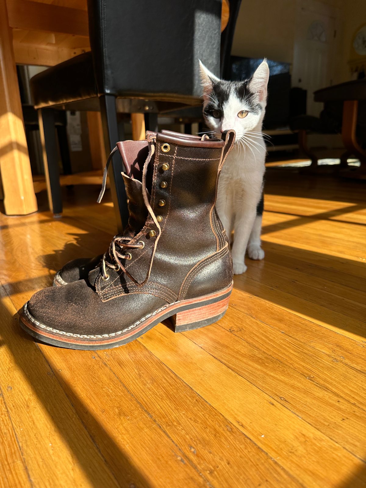 Photo by sweetchippies on November 18, 2022 of the Nicks Robert in Horween Brown Waxed Flesh.