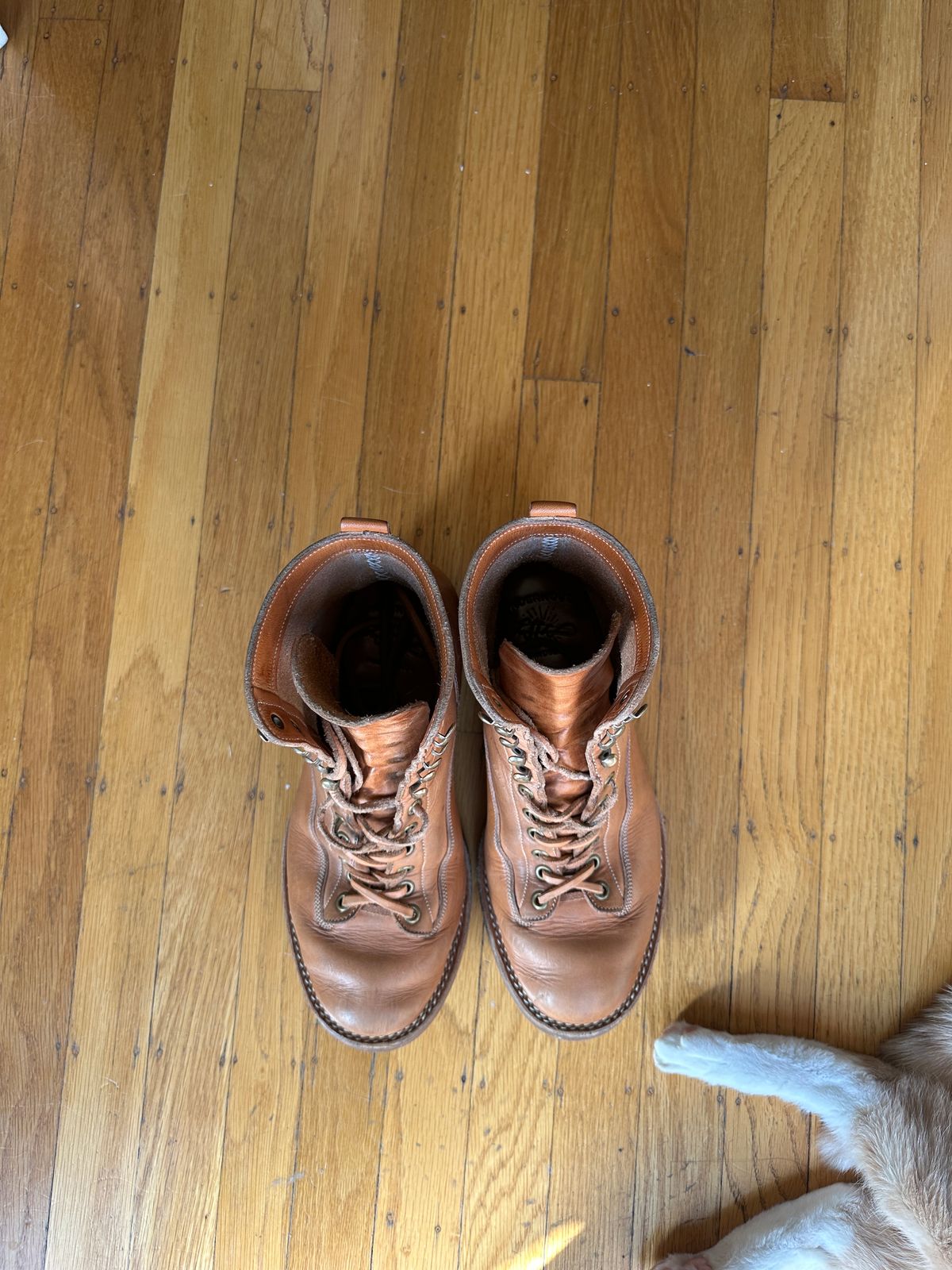 Photo by sweetchippies on April 3, 2024 of the Onderhoud LCV01 Lineman Boot in Wickett & Craig Russet Traditional Harness.