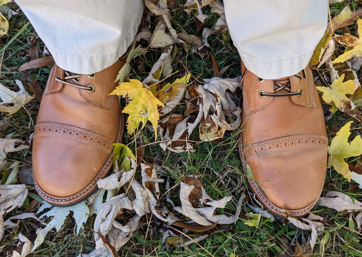 Photo by boot.on.stump on October 9, 2022 of the Oak Street Bootmakers Field Boot in Maryam Natural Horsebutt.
