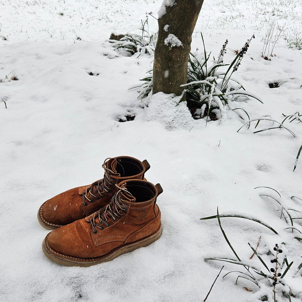 Photo by bars_grover23 on December 5, 2025 of the White's C350-CS in Seidel Red Dog Oil Tan Roughout.