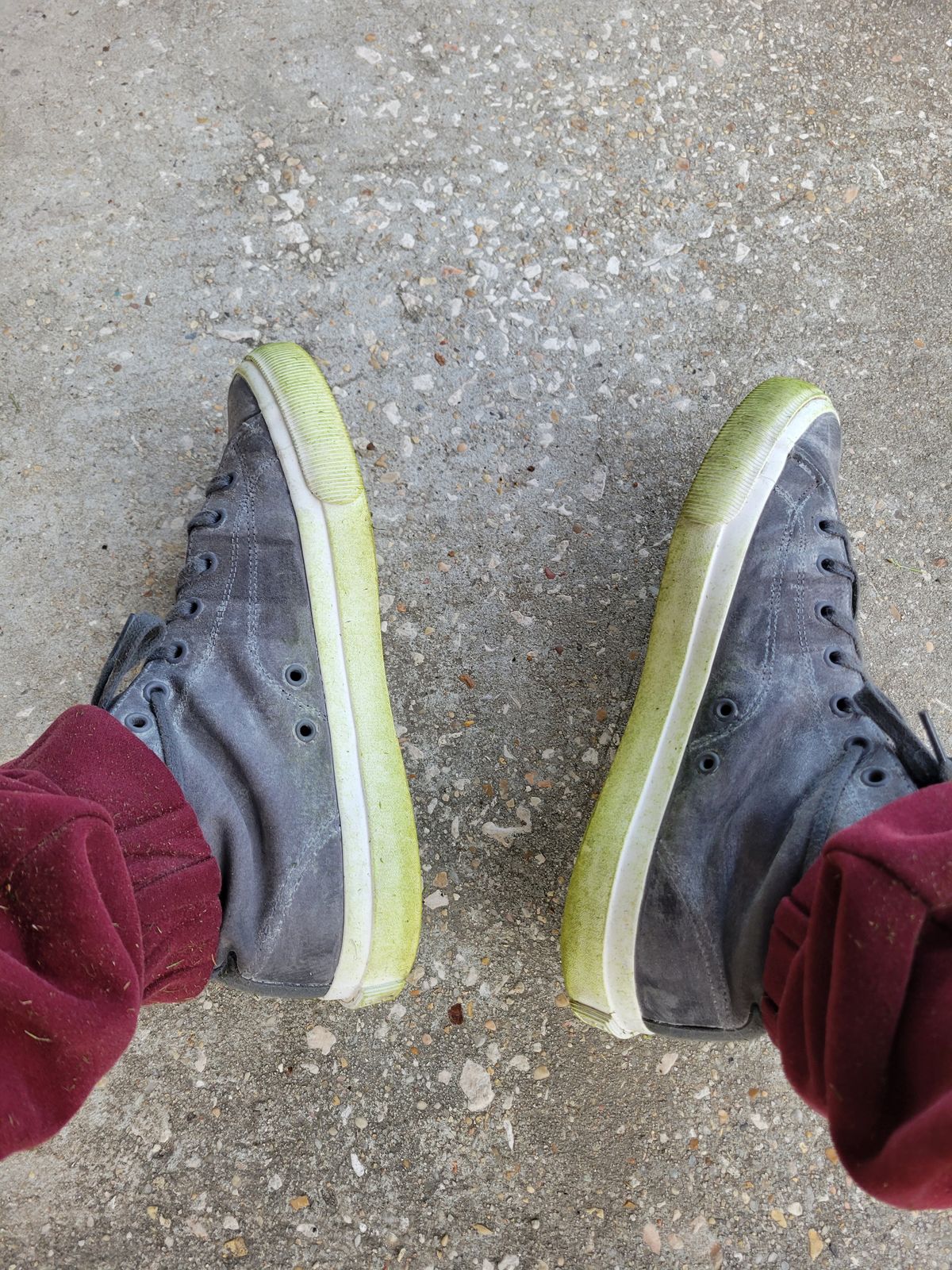 Photo by Post_Leako on October 7, 2023 of the PF Flyers Castlerock Suede in Unknown Leather.