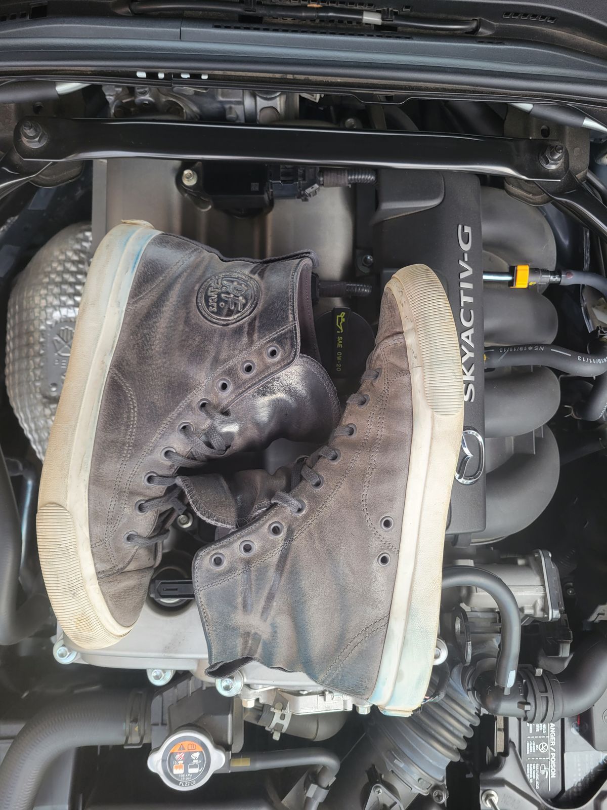 Photo by Post_Leako on January 1, 2024 of the PF Flyers Castlerock Suede in Unknown Leather.