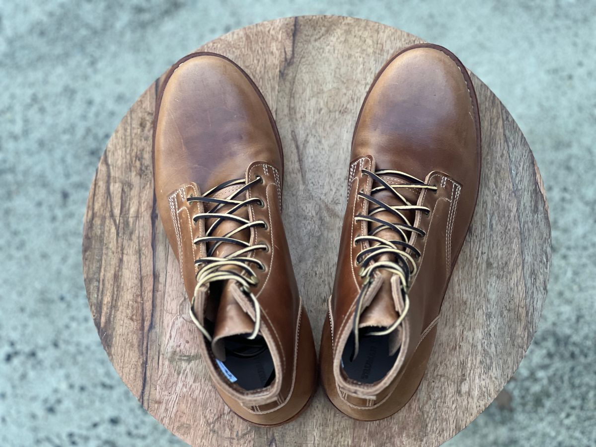Photo by dandandan on October 4, 2025 of the Truman Plain Toe Boot in Sesame Doubleshot.
