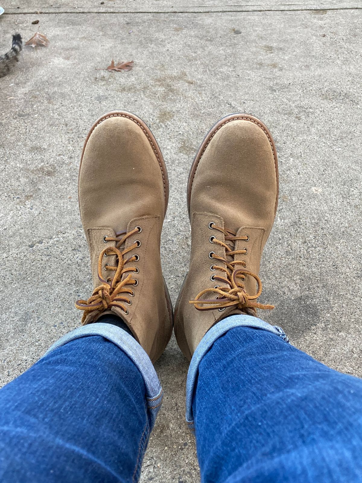 Photo by dandandan on November 6, 2024 of the Oak Street Bootmakers Trench Boot in Horween Natural Chromexcel Roughout.