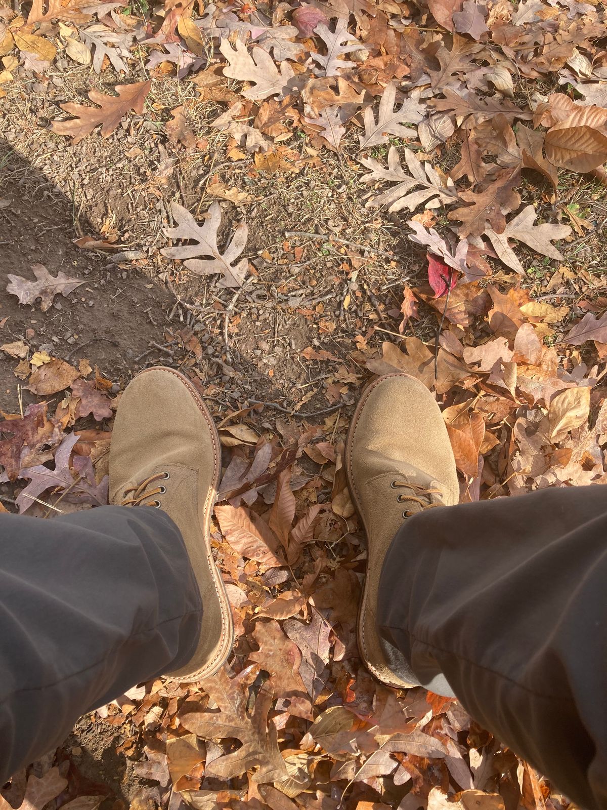 Photo by dandandan on November 11, 2024 of the Oak Street Bootmakers Trench Boot in Horween Natural Chromexcel Roughout.