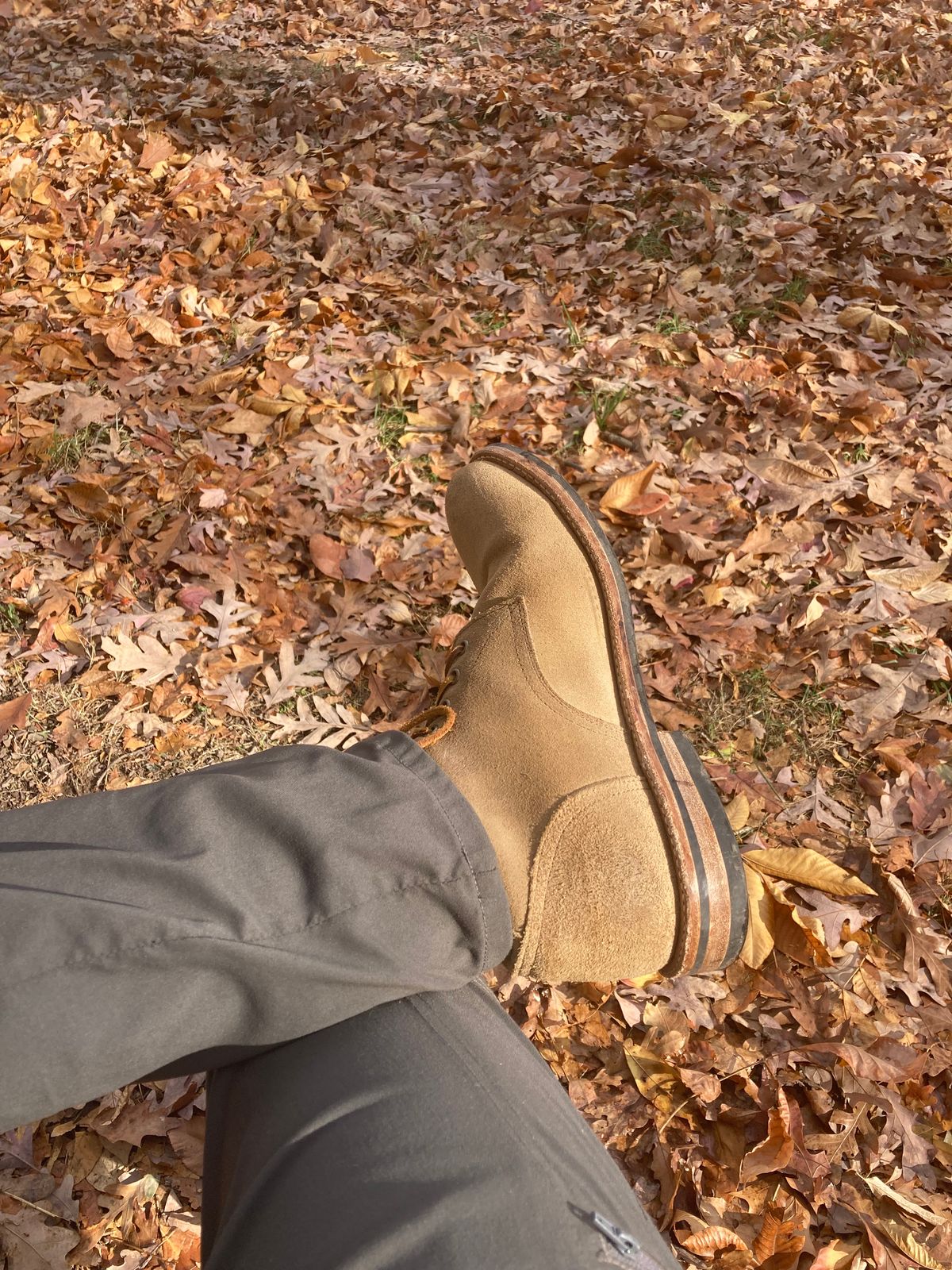 Photo by dandandan on November 11, 2024 of the Oak Street Bootmakers Trench Boot in Horween Natural Chromexcel Roughout.