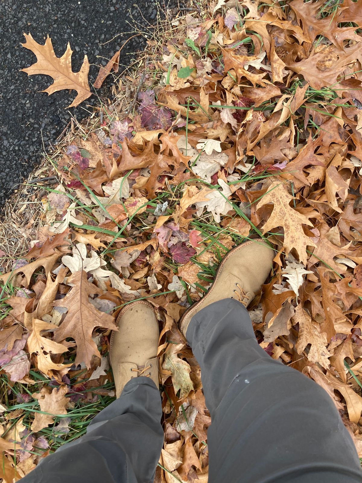 Photo by dandandan on December 5, 2024 of the Oak Street Bootmakers Trench Boot in Horween Natural Chromexcel Roughout.