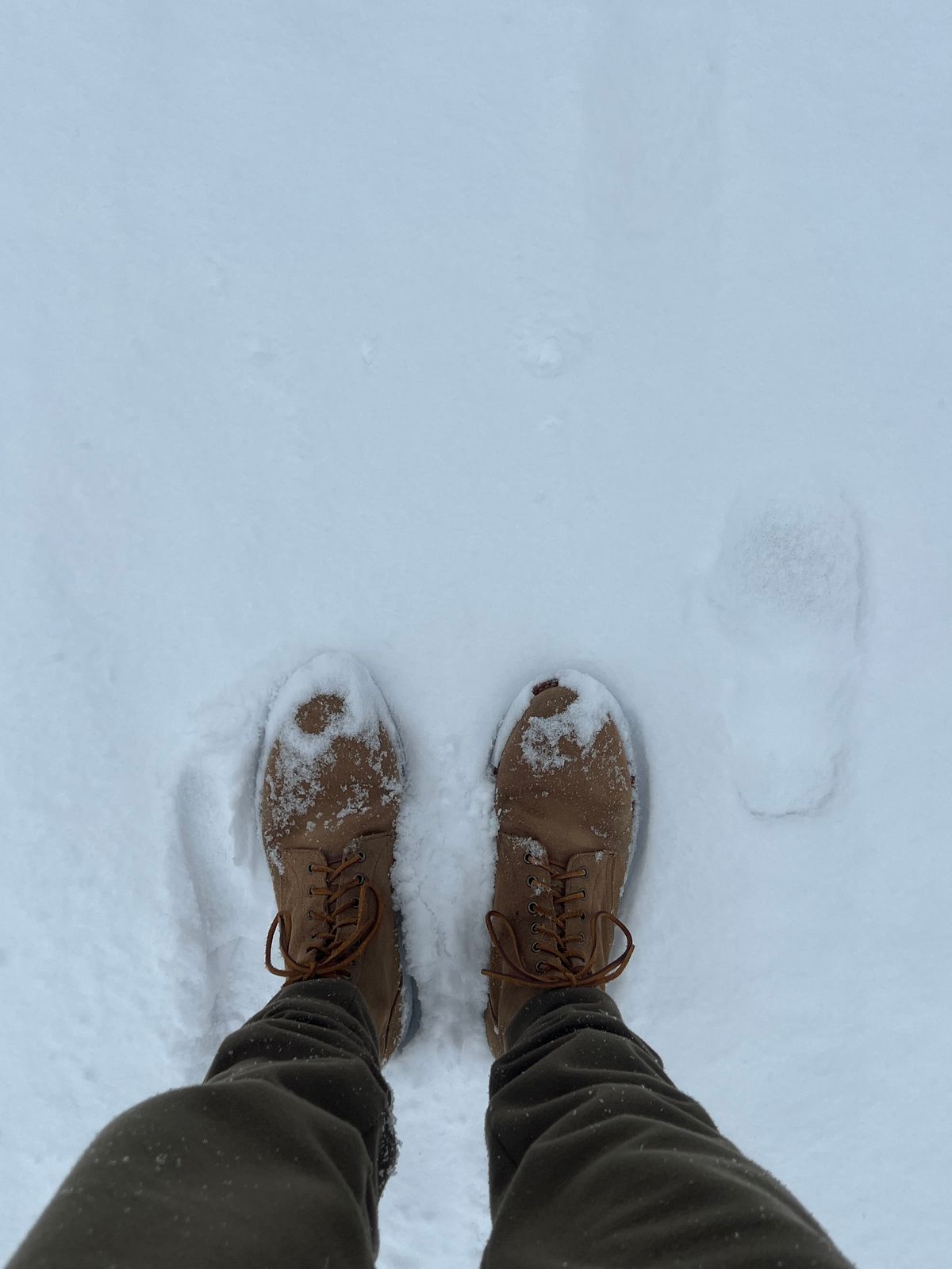 Photo by dandandan on January 6, 2025 of the Oak Street Bootmakers Trench Boot in Horween Natural Chromexcel Roughout.