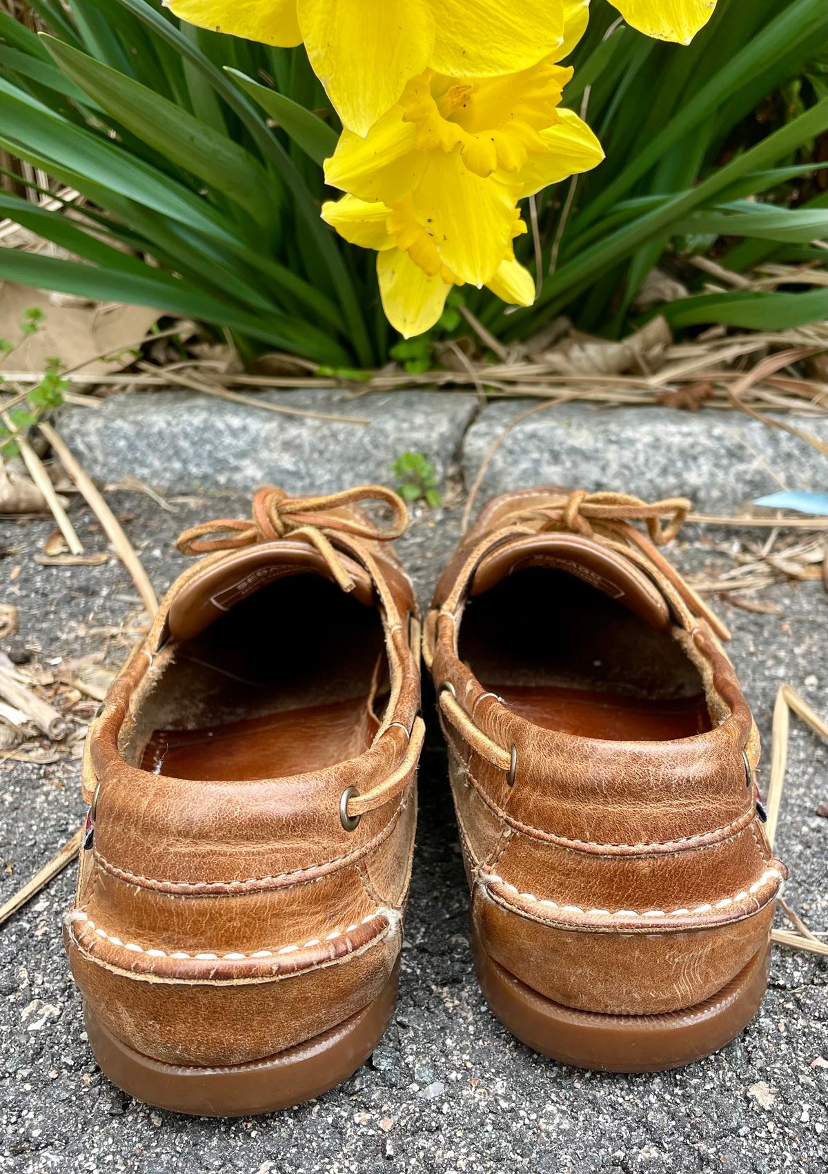 Photo by nomoresayswife on April 1, 2024 of the Sebago Schooner in Brown Tan Crazy Horse.