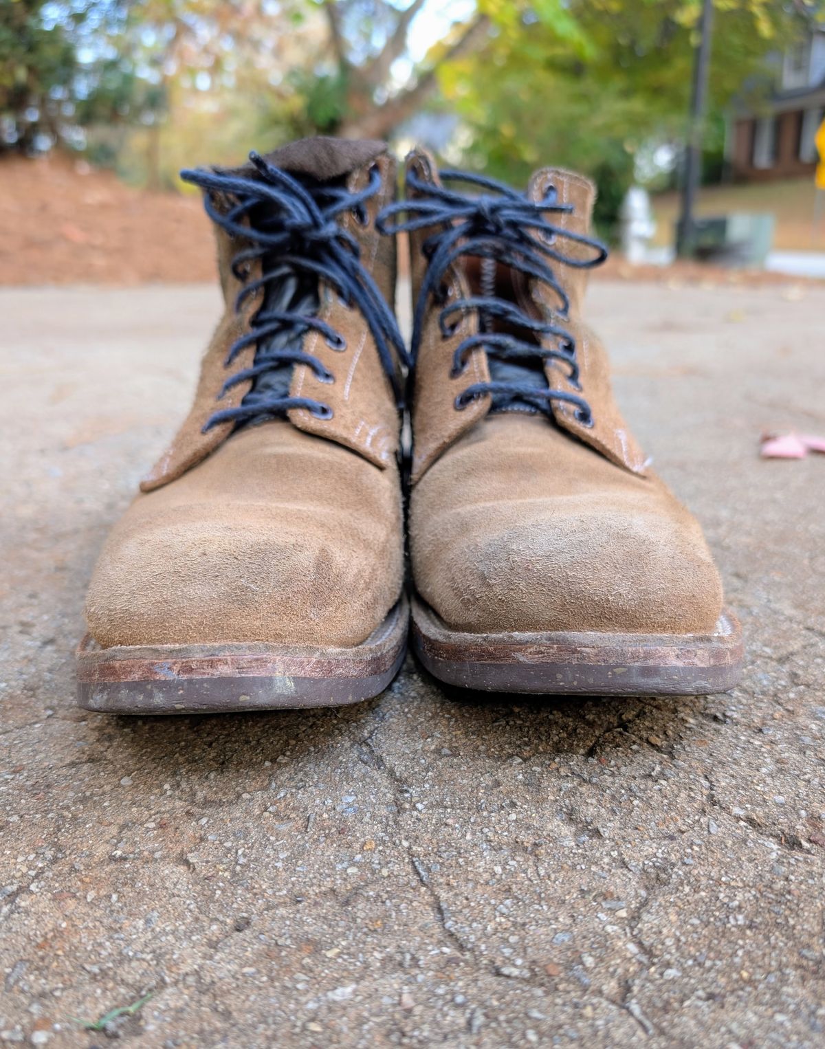 Photo by SIDO on November 2, 2025 of the Oak Street Bootmakers Storm Boot in Horween Natural Chromexcel Roughout.