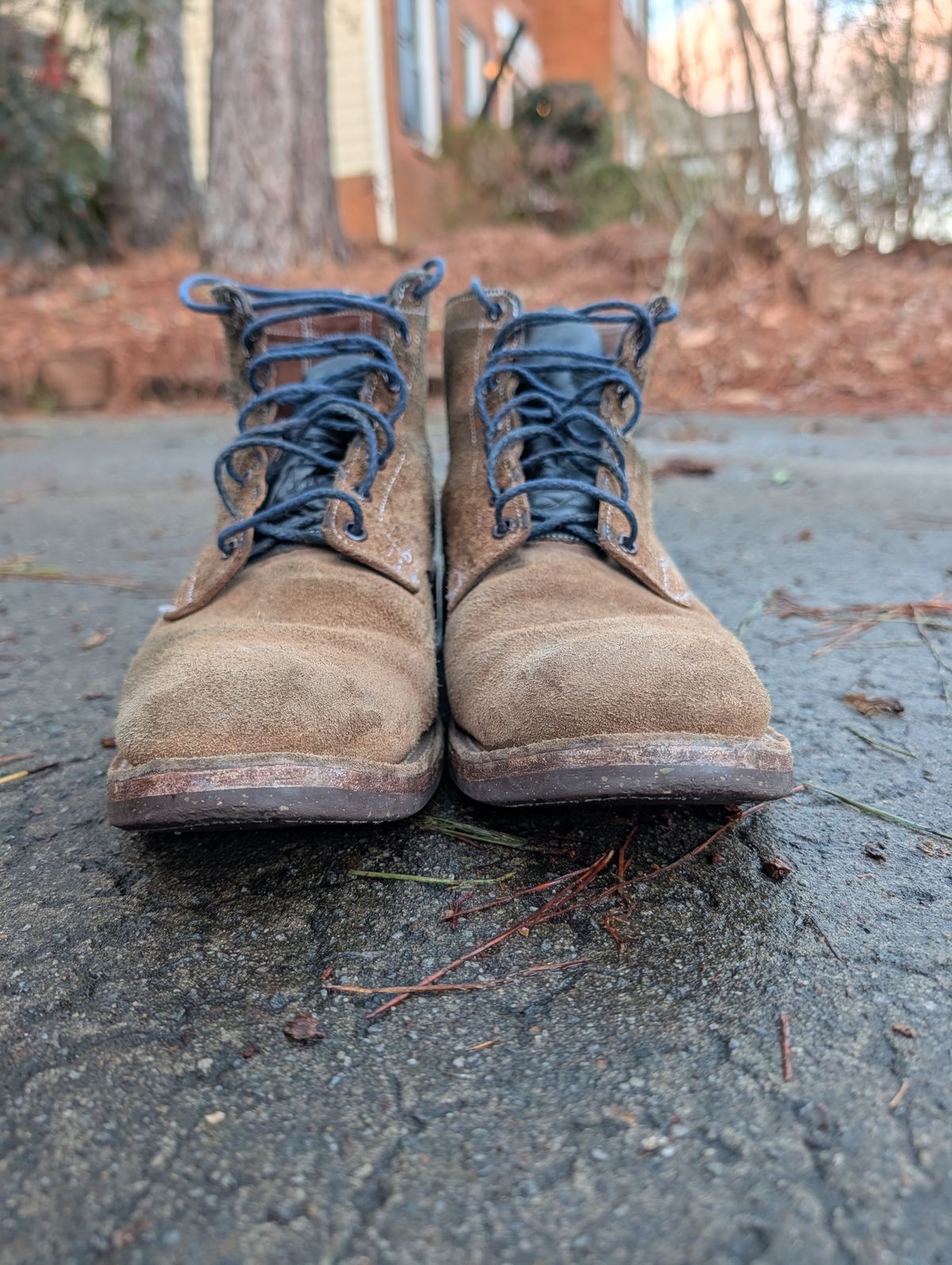 Photo by SIDO on February 4, 2026 of the Oak Street Bootmakers Storm Boot in Horween Natural Chromexcel Roughout.