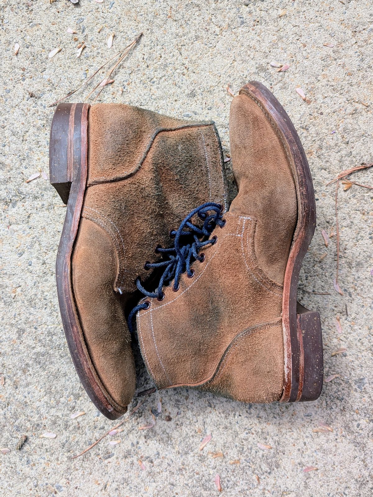 Photo by SIDO on April 1, 2026 of the Oak Street Bootmakers Storm Boot in Horween Natural Chromexcel Roughout.