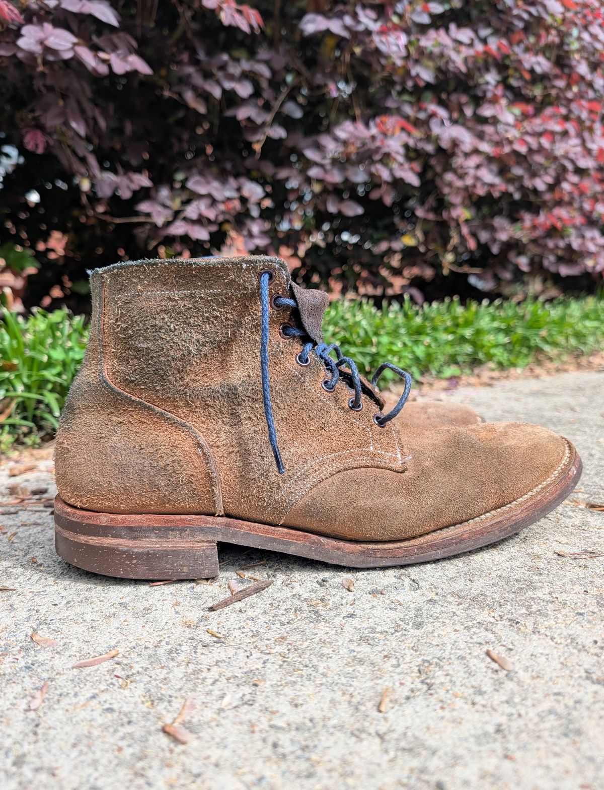 Photo by SIDO on April 1, 2026 of the Oak Street Bootmakers Storm Boot in Horween Natural Chromexcel Roughout.