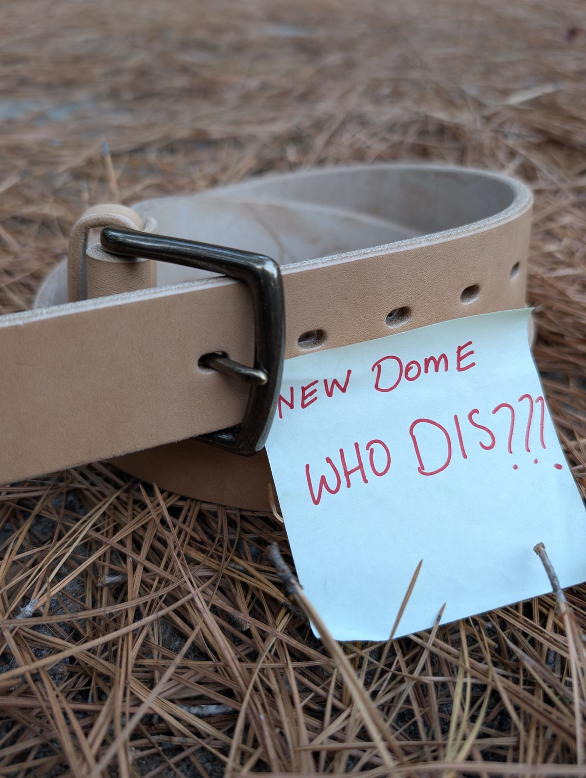 Photo by SIDO on October 1, 2025 of the Carmine Jack Leather Natural Shipyard Belt in Natural Oak Bark Leather.