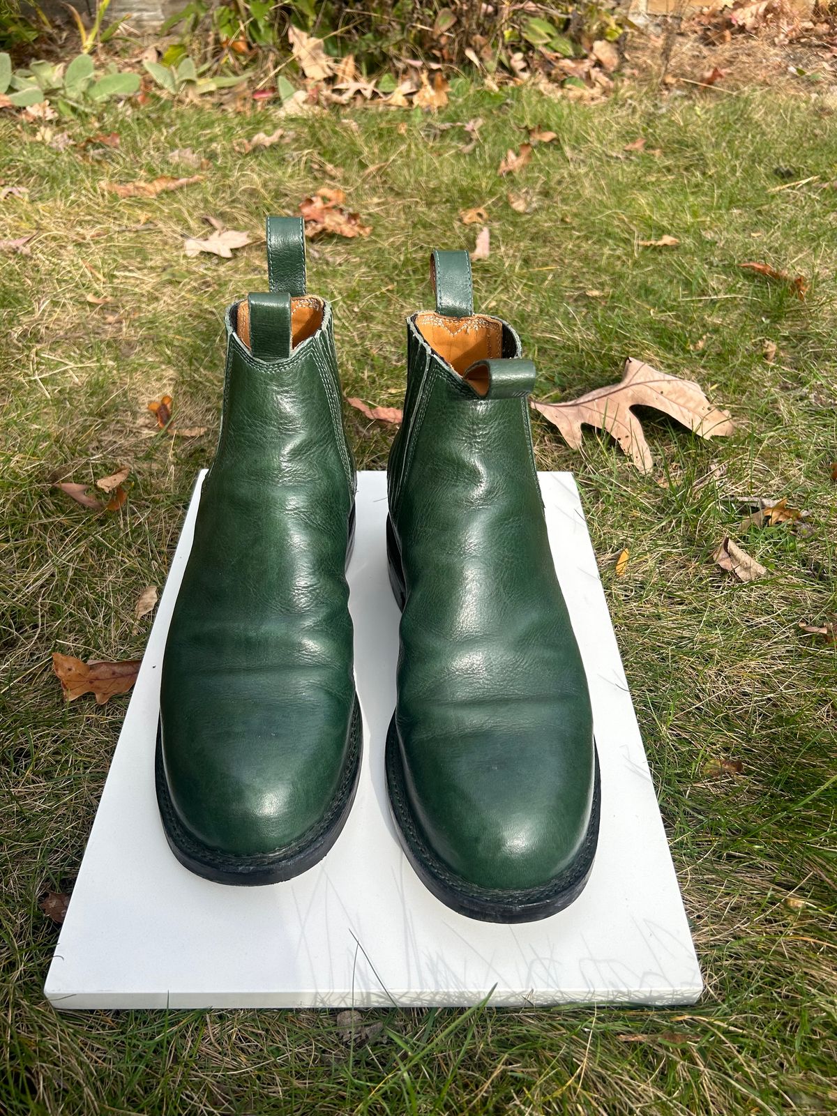 Photo by Tillman on November 5, 2023 of the Dierkes Covered gusset Chelsea Boot in Conceria Puccini Attilio Dark Green Koala.