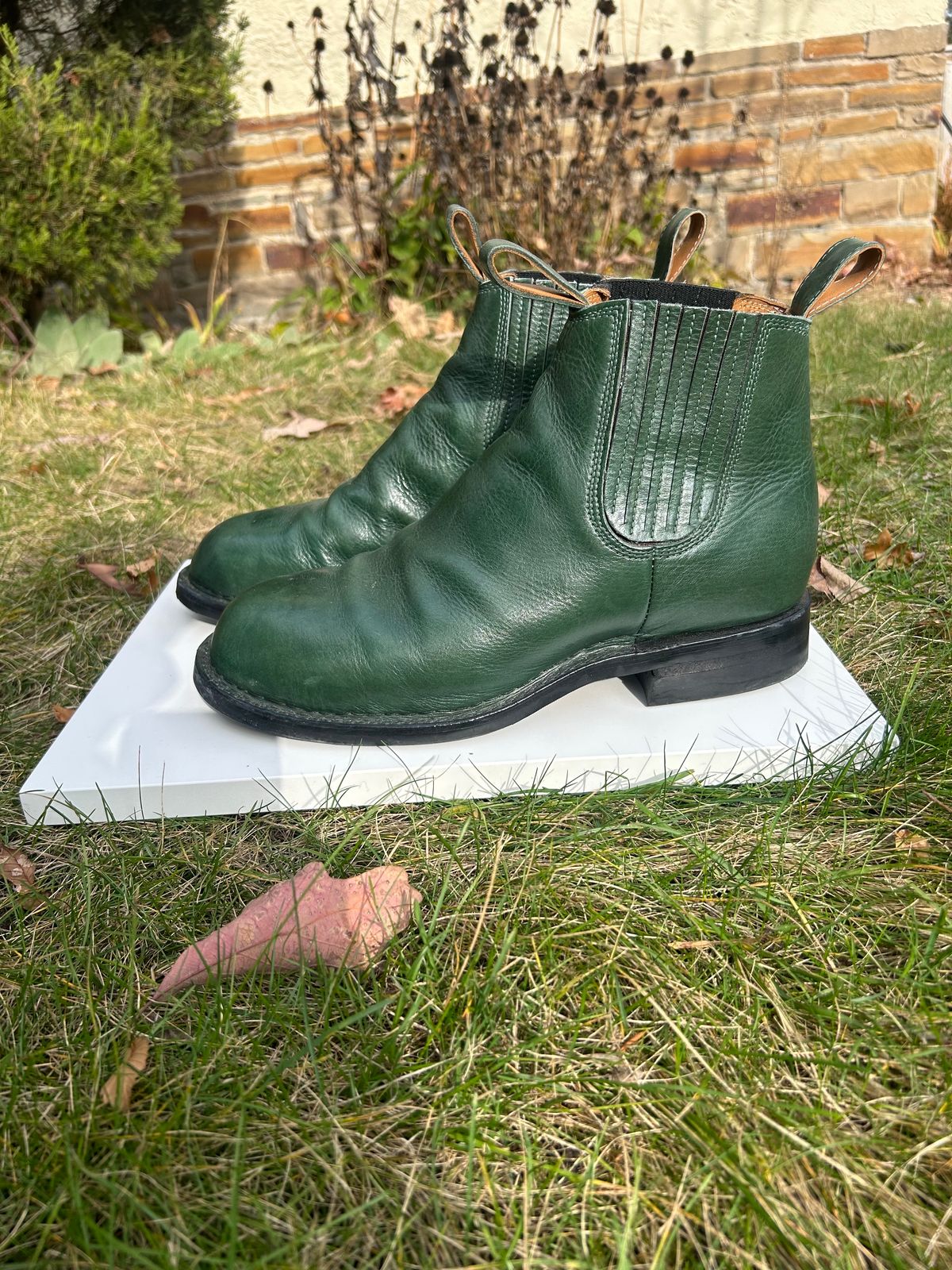Photo by Tillman on November 5, 2023 of the Dierkes Covered gusset Chelsea Boot in Conceria Puccini Attilio Dark Green Koala.