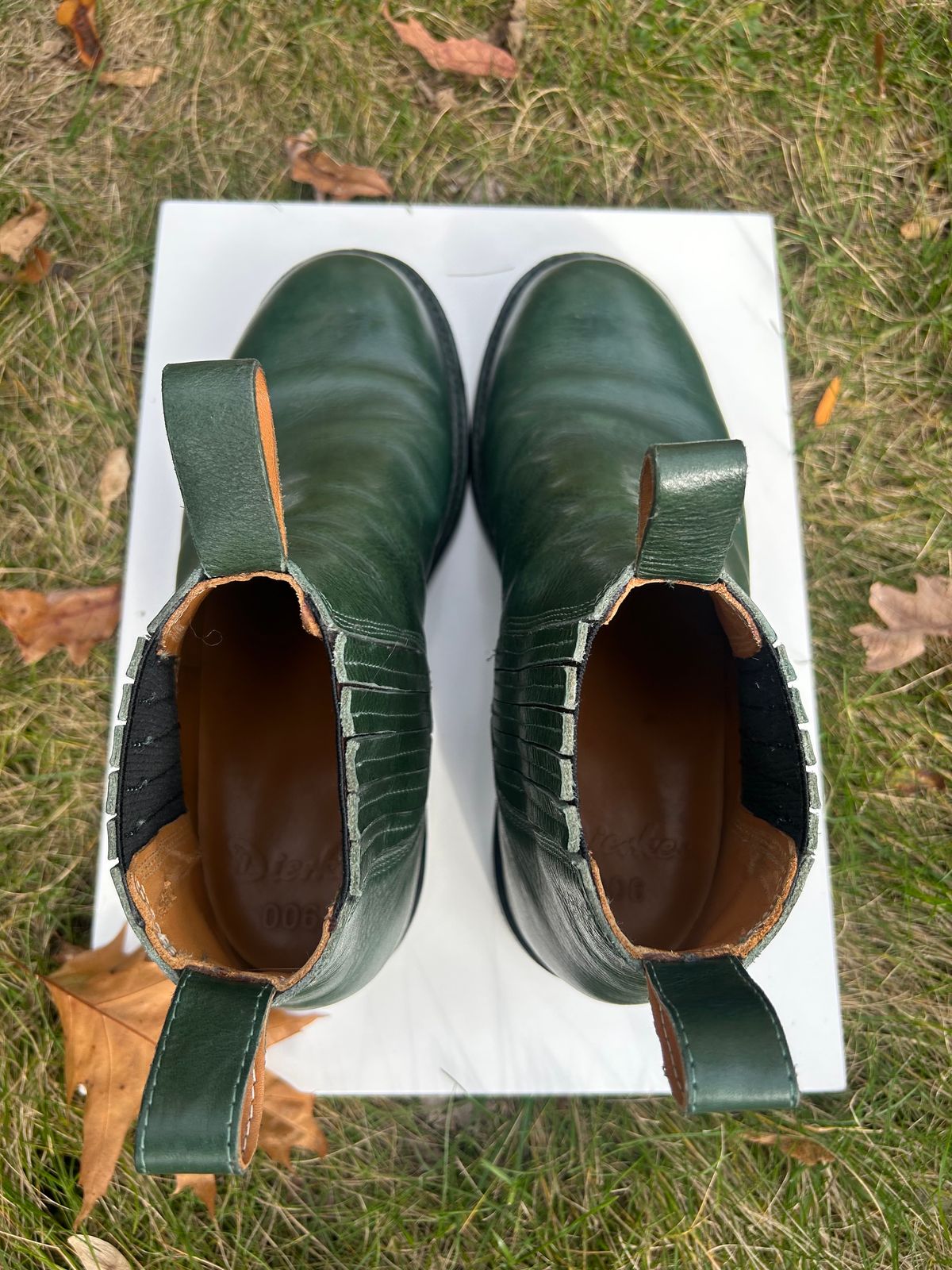 Photo by Tillman on November 5, 2023 of the Dierkes Covered gusset Chelsea Boot in Conceria Puccini Attilio Dark Green Koala.