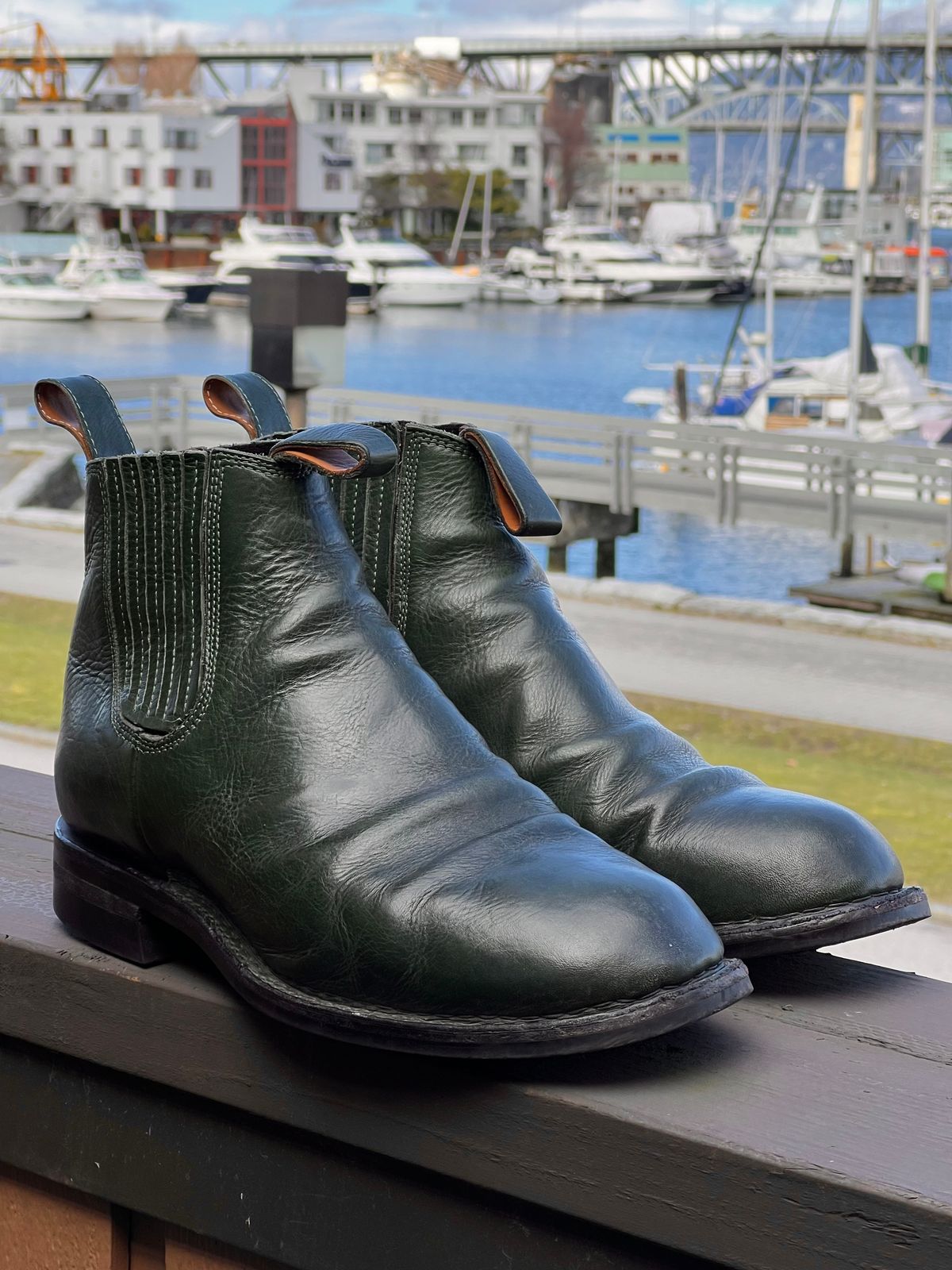 Photo by Tillman on March 4, 2024 of the Dierkes Covered gusset Chelsea Boot in Conceria Puccini Attilio Dark Green Koala.