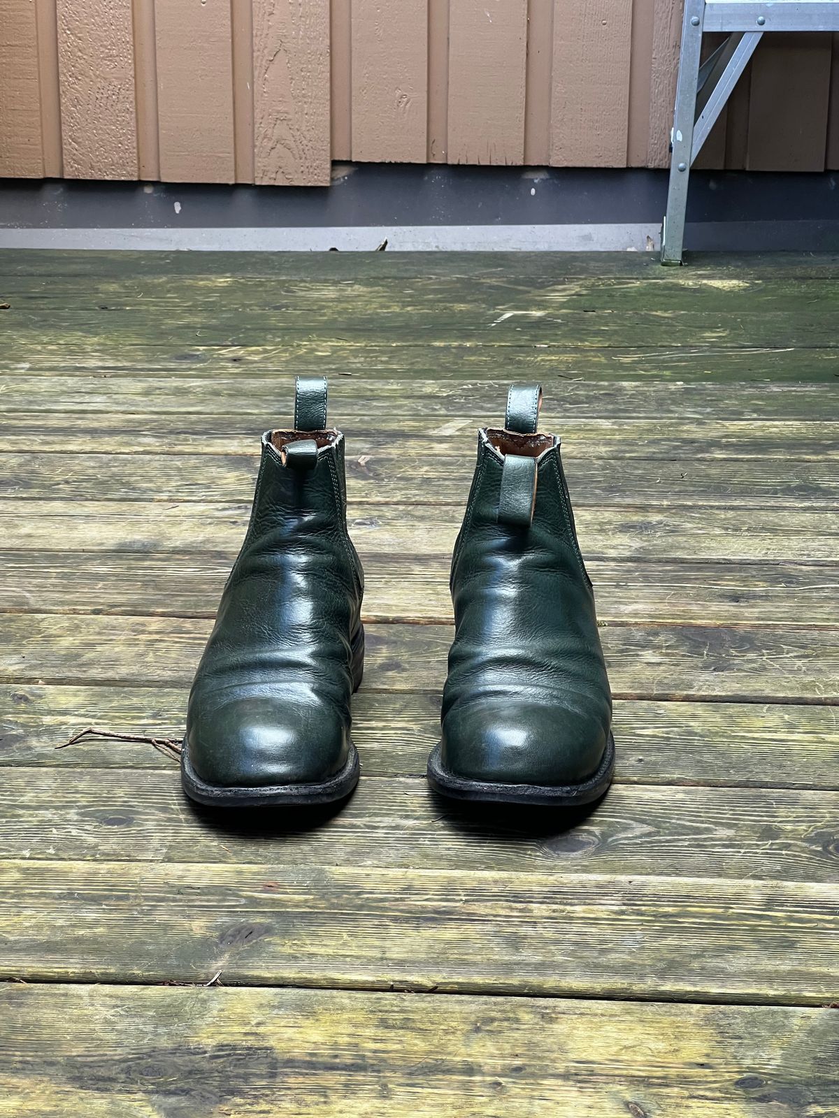 Photo by Tillman on March 4, 2024 of the Dierkes Covered gusset Chelsea Boot in Conceria Puccini Attilio Dark Green Koala.