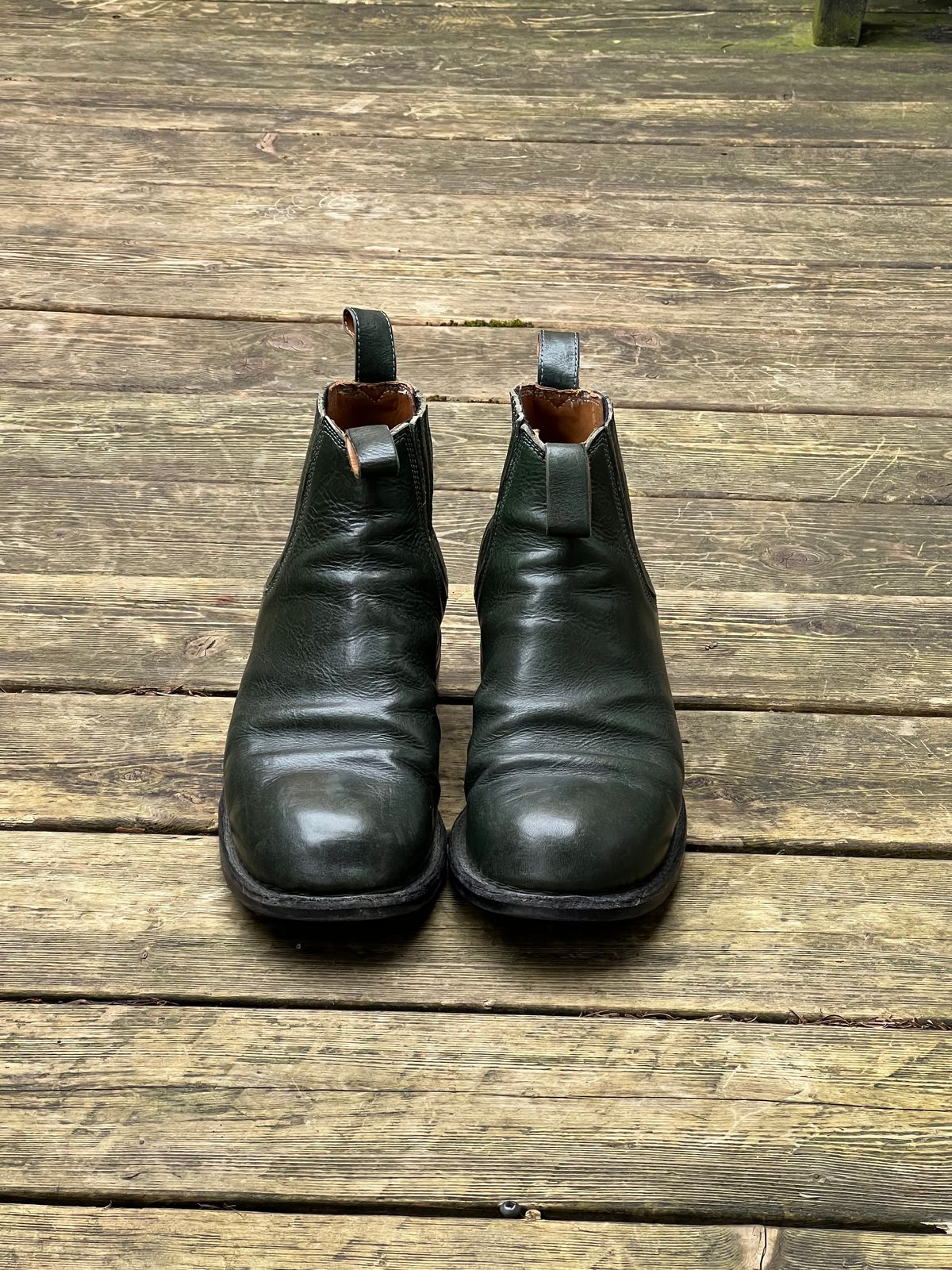 Photo by Tillman on April 5, 2024 of the Dierkes Covered gusset Chelsea Boot in Conceria Puccini Attilio Dark Green Koala.