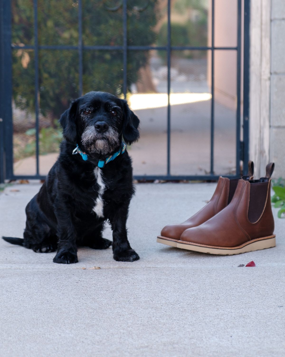 Photo by stitchedsoles on October 1, 2023 of the Red Wing Classic Chelsea in S.B. Foot Amber Harness.