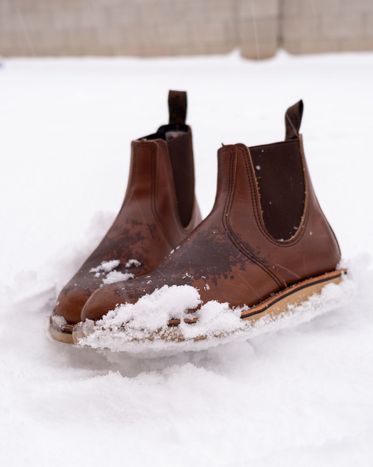 Photo by stitchedsoles on January 6, 2024 of the Red Wing Classic Chelsea in S.B. Foot Amber Harness.