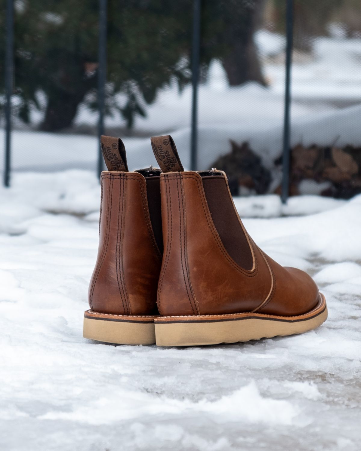 Photo by stitchedsoles on January 6, 2024 of the Red Wing Classic Chelsea in S.B. Foot Amber Harness.