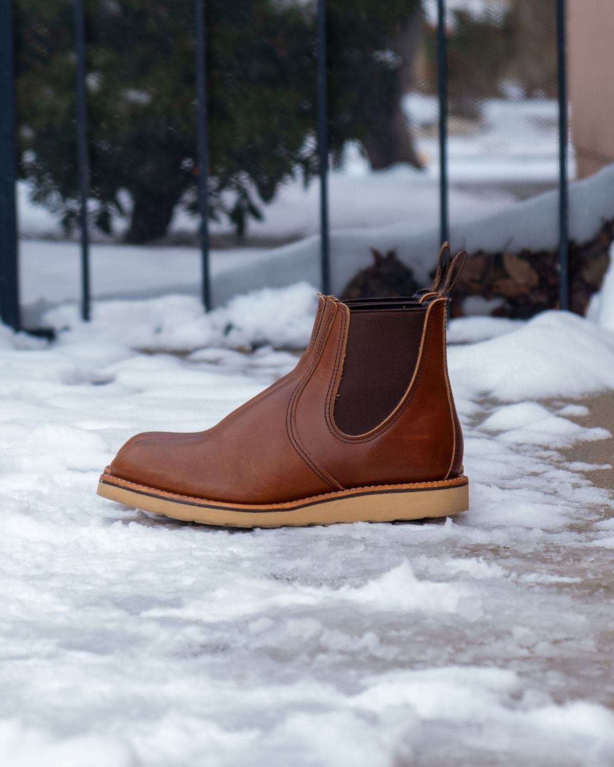 Photo by stitchedsoles on January 6, 2024 of the Red Wing Classic Chelsea in S.B. Foot Amber Harness.