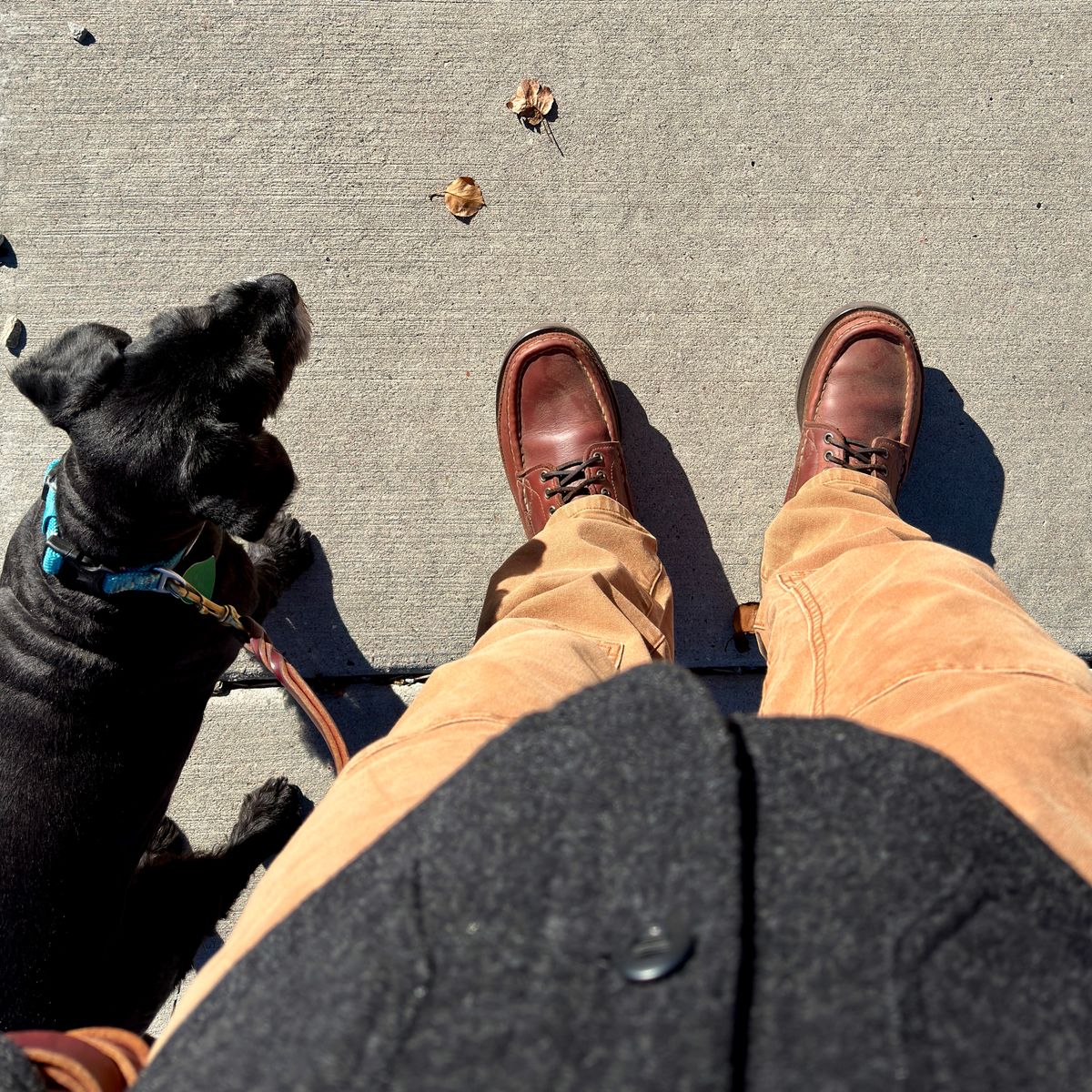Photo by stitchedsoles on November 28, 2025 of the Russell Moccasin Co. South 40 Birdshooter in Walnut Timberjack.
