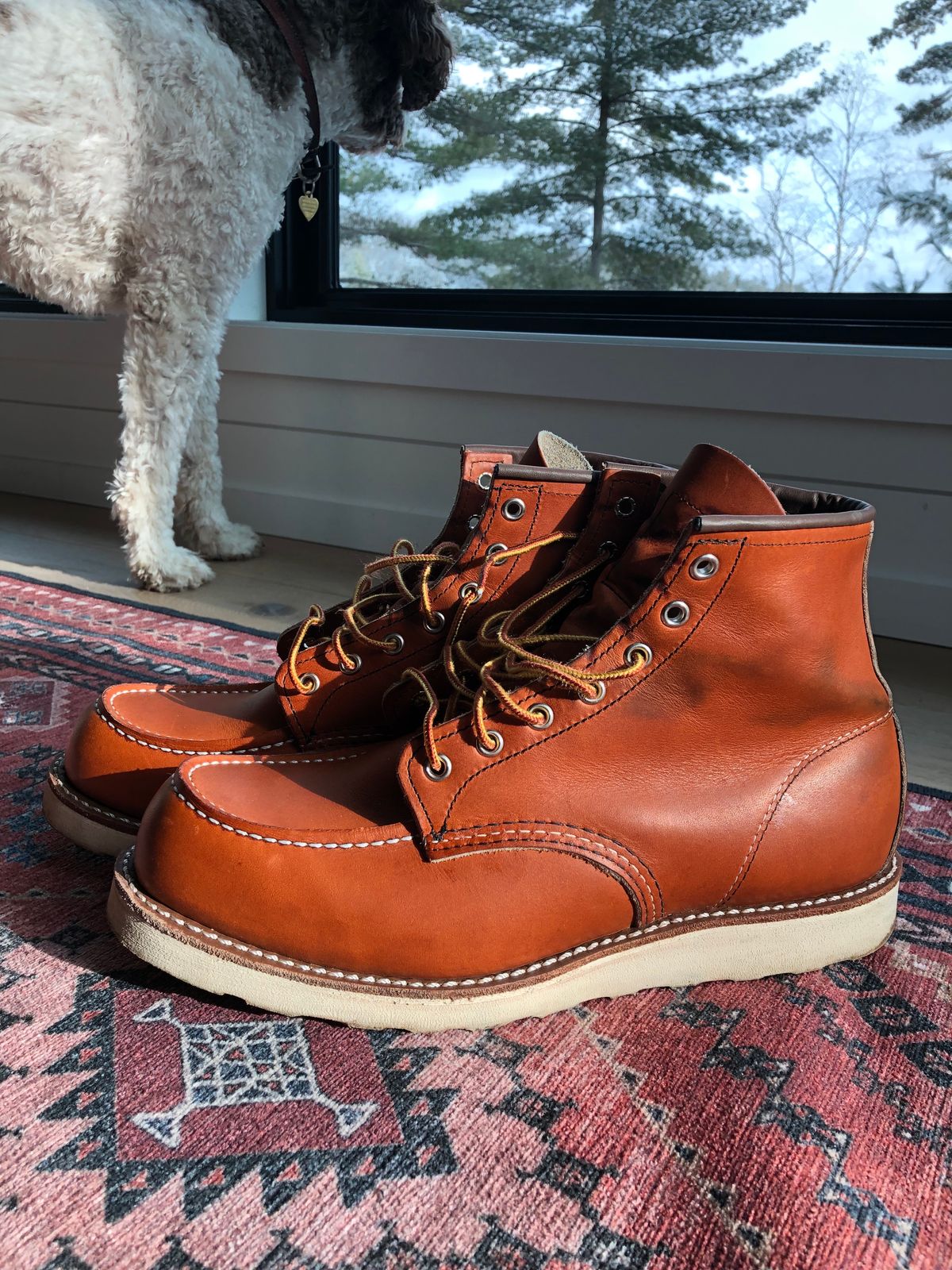 Photo by theperfectbowl on December 5, 2023 of the Red Wing 6-Inch Classic Moc in S.B. Foot Oro Legacy.