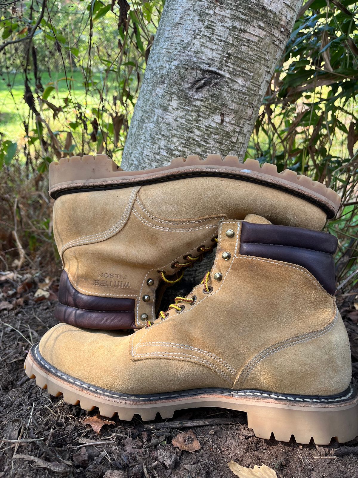 Photo by Chhh1984 on October 2, 2025 of the White's X Filson Shop Boot in Natural Tan Roughout.