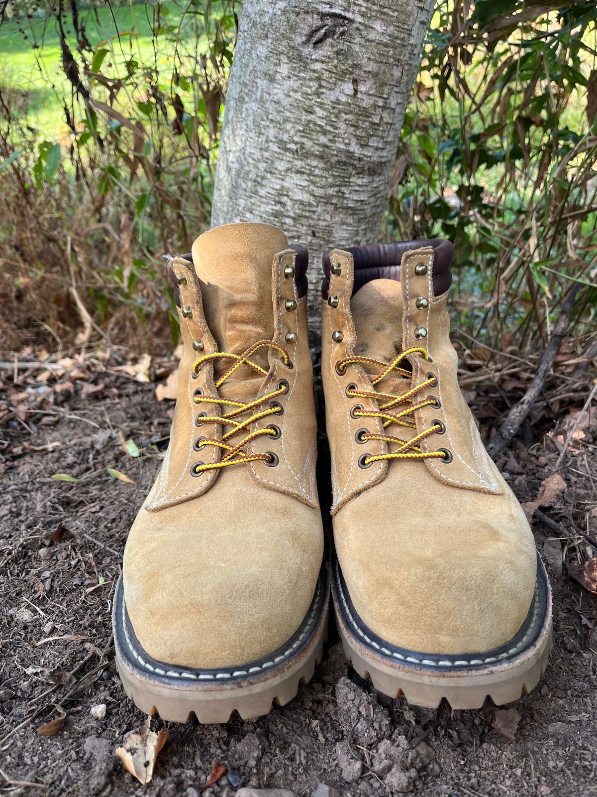 Photo by Chhh1984 on October 2, 2025 of the White's X Filson Shop Boot in Natural Tan Roughout.