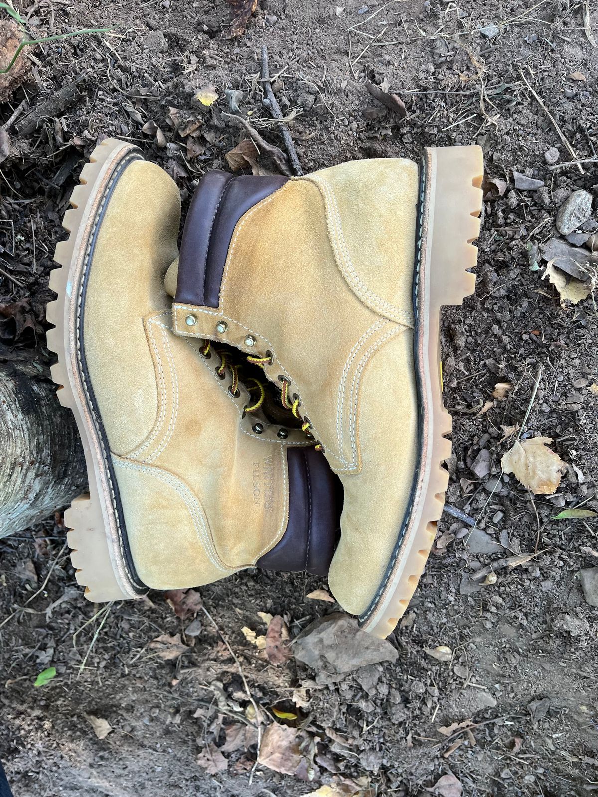 Photo by Chhh1984 on October 2, 2025 of the White's X Filson Shop Boot in Natural Tan Roughout.