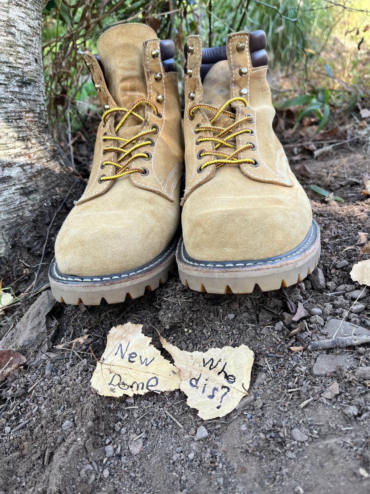 Photo by Chhh1984 on October 2, 2025 of the White's X Filson Shop Boot in Natural Tan Roughout.
