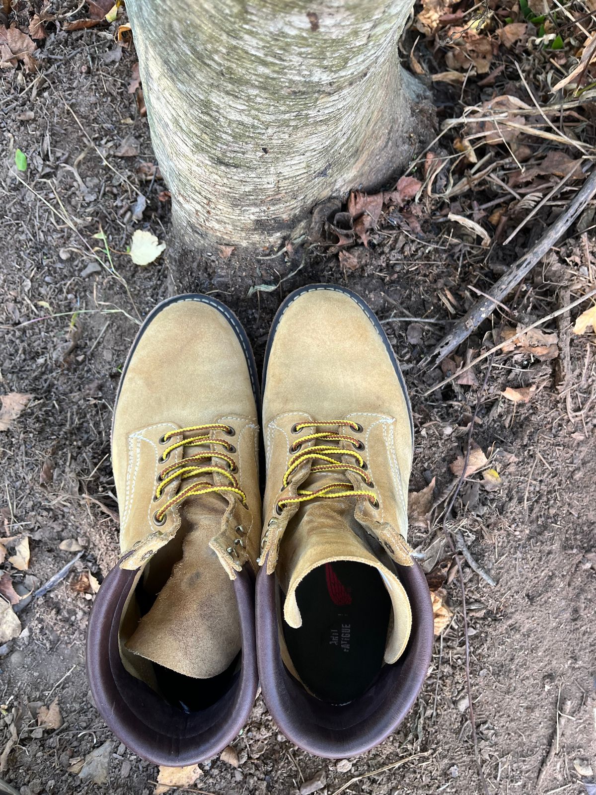 Photo by Chhh1984 on October 2, 2025 of the White's X Filson Shop Boot in Natural Tan Roughout.