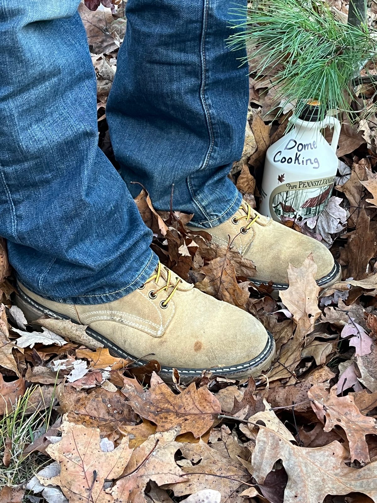 Photo by Chhh1984 on November 3, 2025 of the White's X Filson Shop Boot in Seidel Natural Suede.