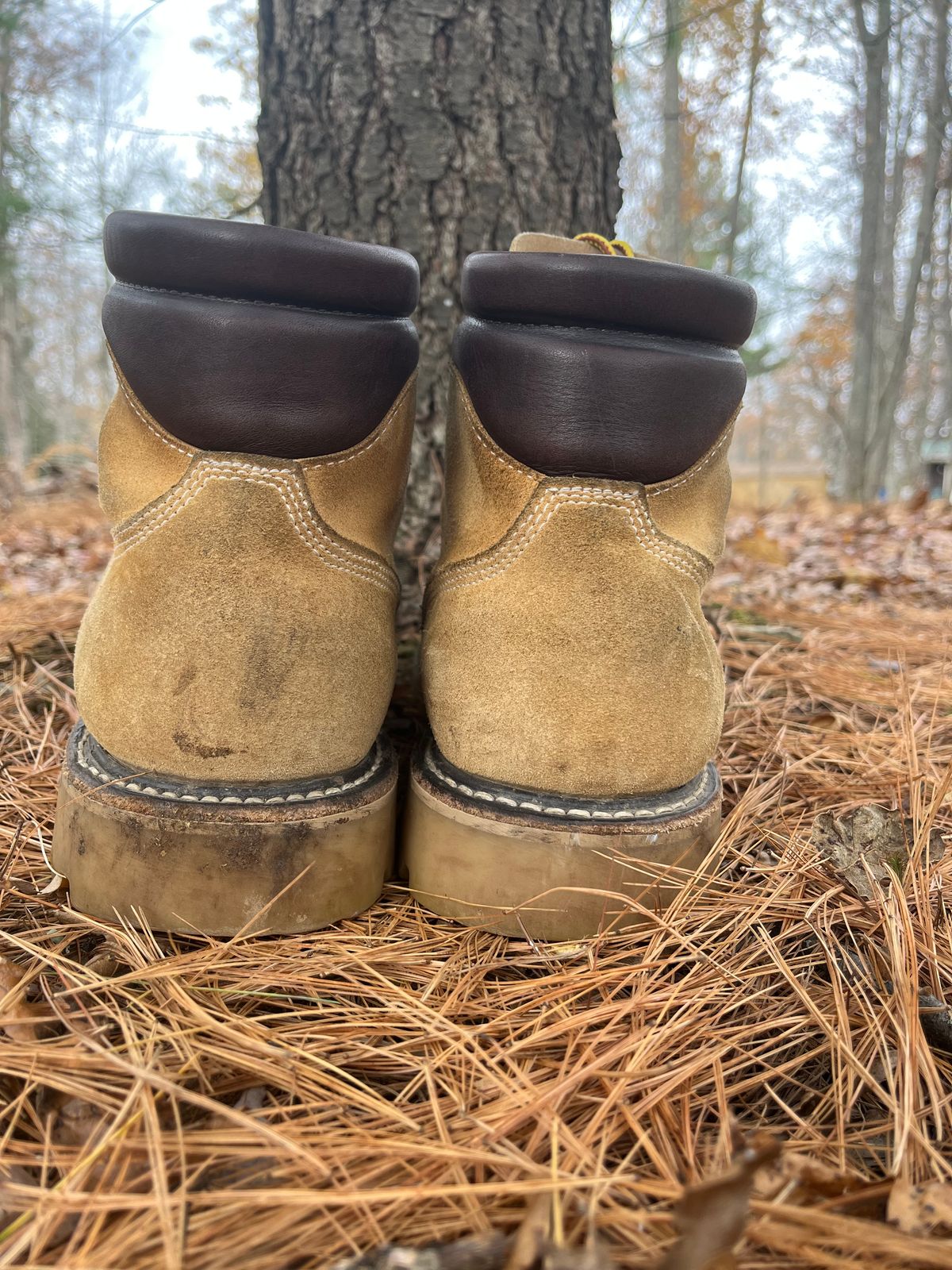 Photo by Chhh1984 on November 3, 2025 of the White's X Filson Shop Boot in Seidel Natural Suede.