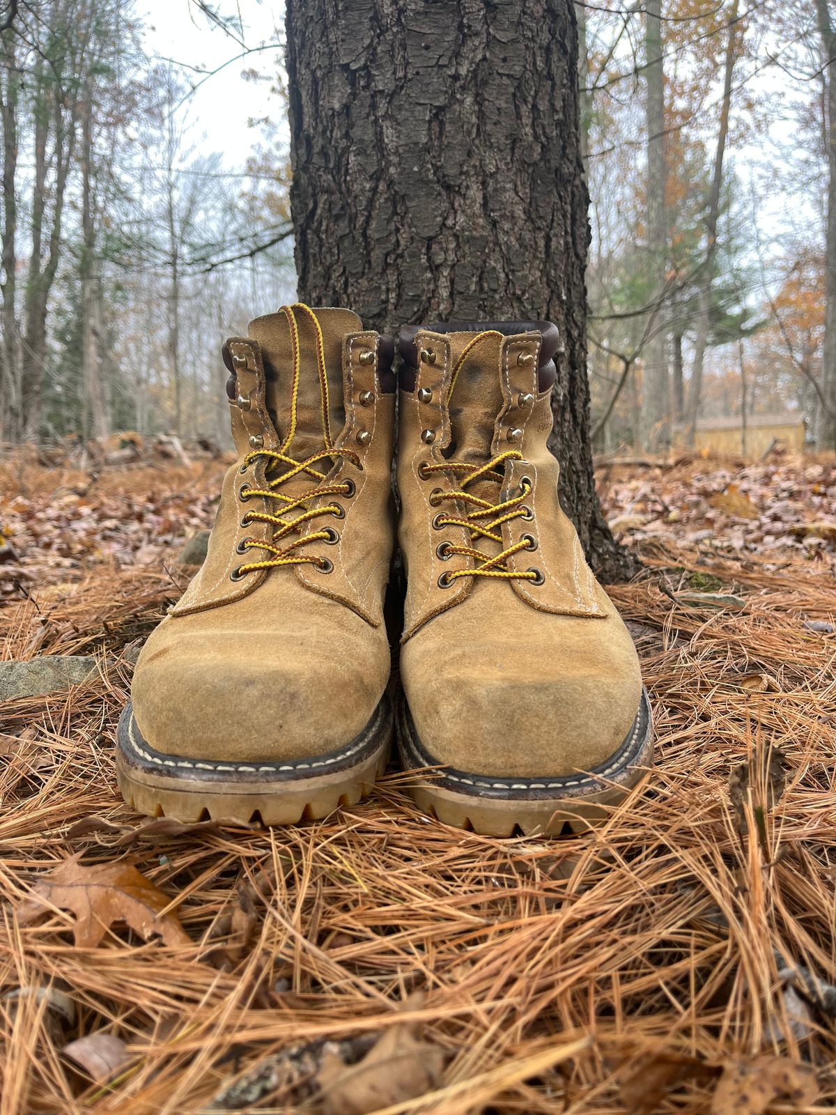 Photo by Chhh1984 on November 3, 2025 of the White's X Filson Shop Boot in Seidel Natural Suede.