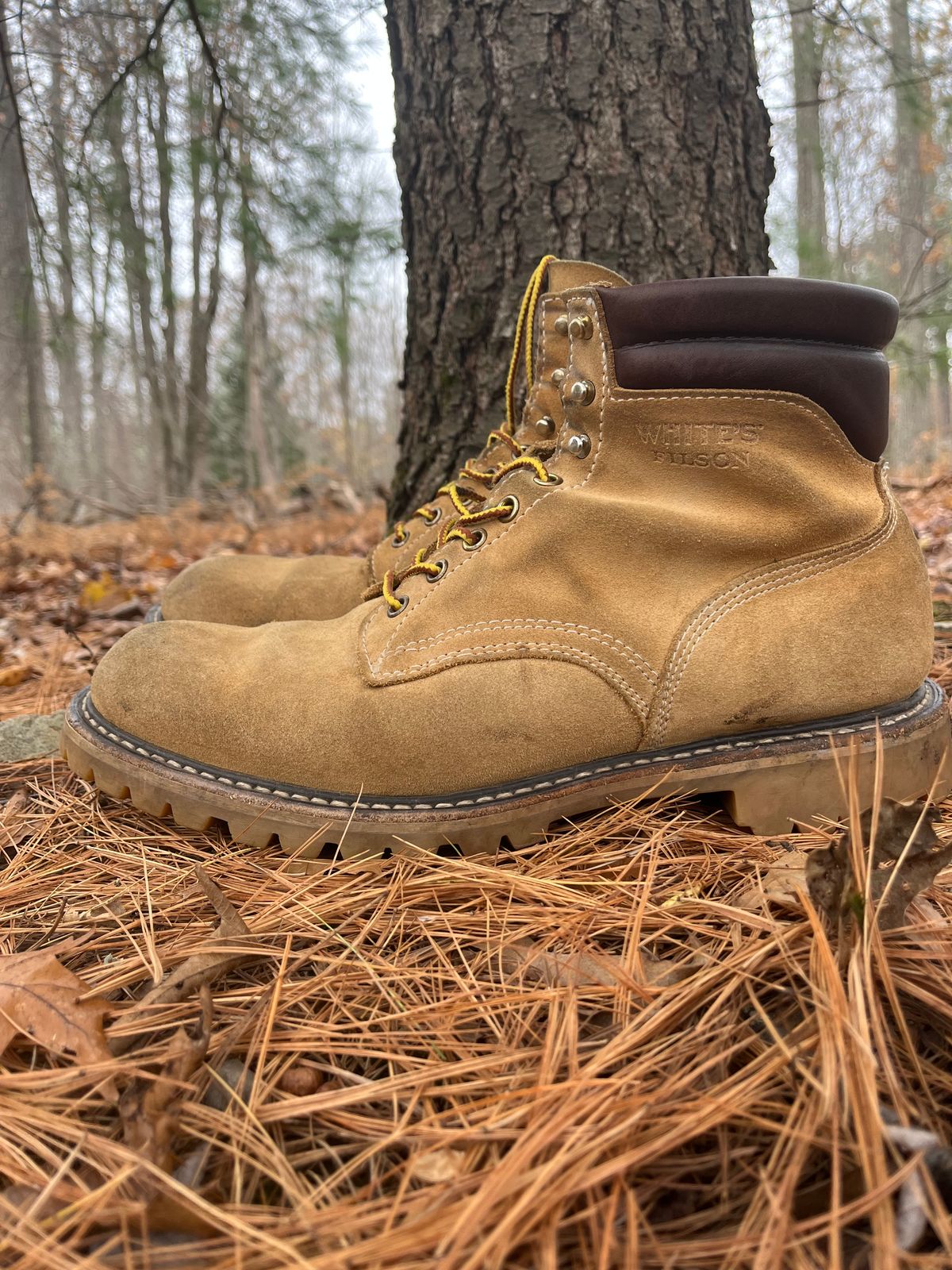 Photo by Chhh1984 on November 3, 2025 of the White's X Filson Shop Boot in Seidel Natural Suede.